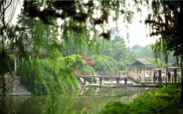 紫荆山公园旅游景点攻略图
