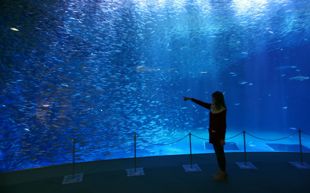 名古屋名古屋港水族馆好玩吗,名古屋名古屋港水族馆景点怎么样_点评