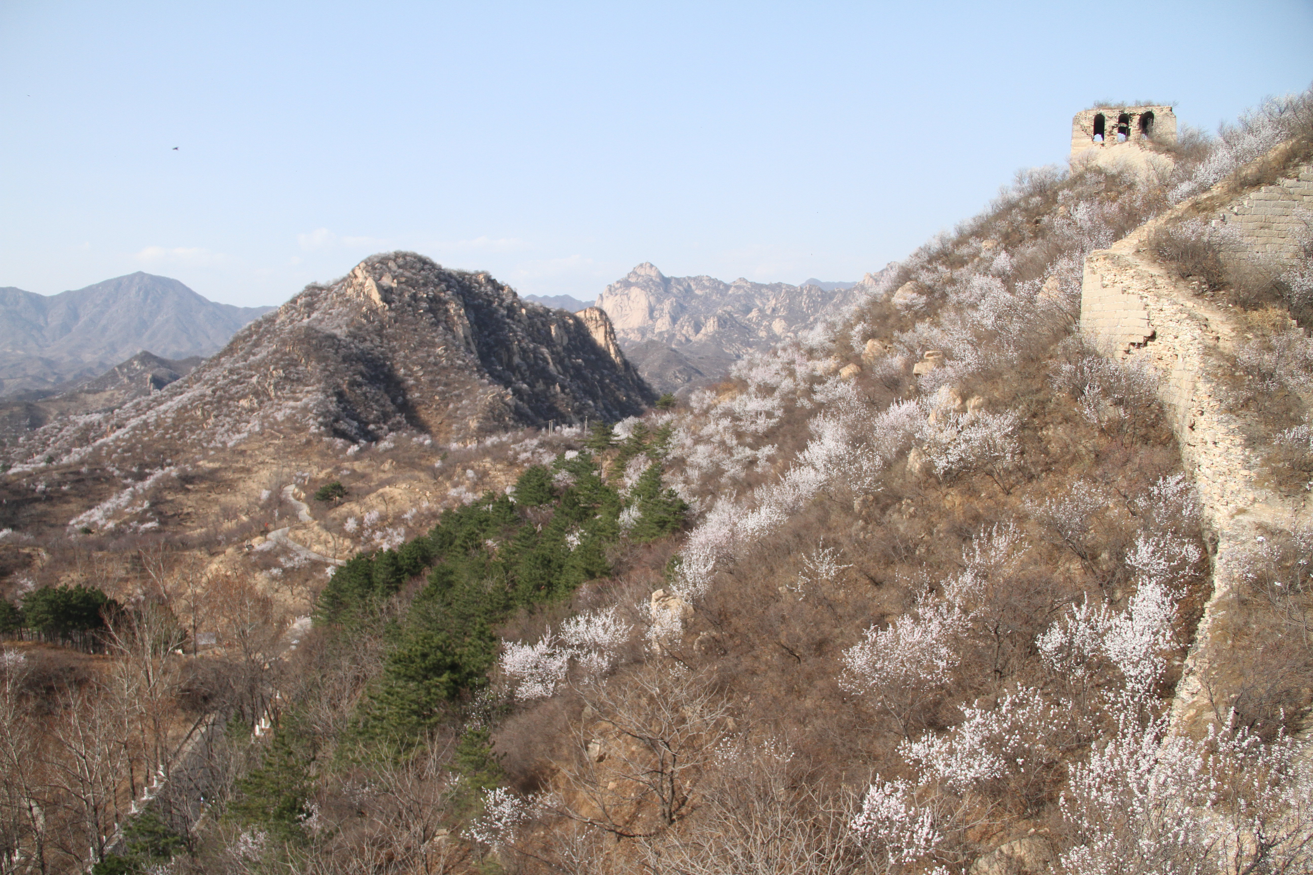 昌平香屯村