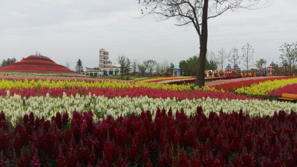 2019马可波罗花世界_旅游攻略_门票_地址_游记点评,扬州旅游景点推荐