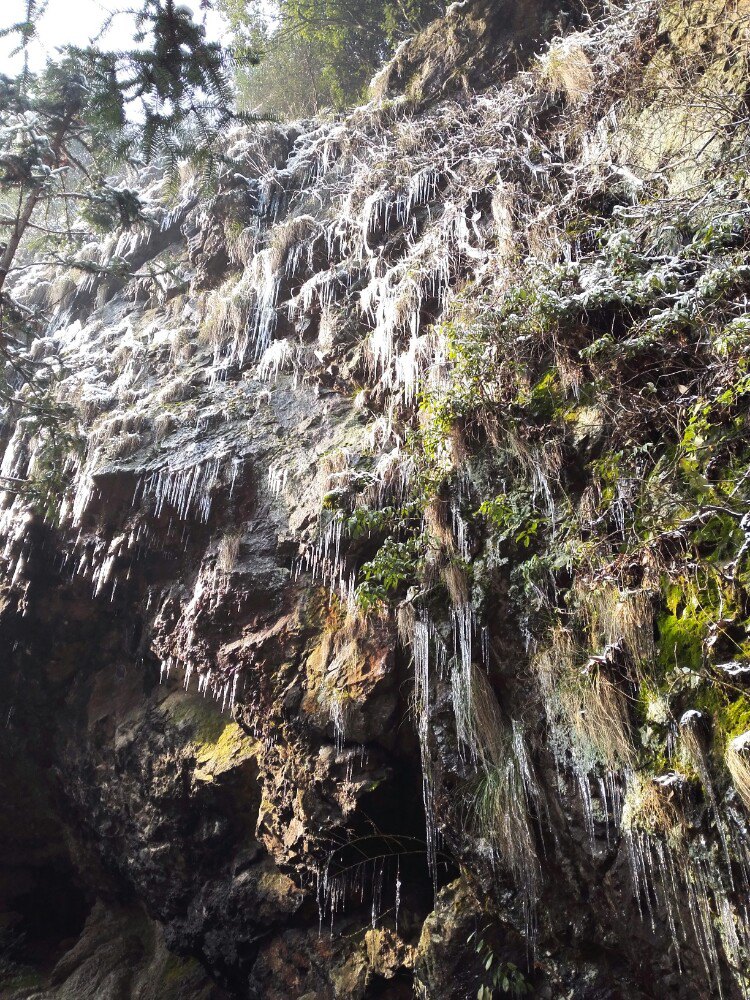 永康飞凤山公园好玩吗,永康飞凤山公园景点怎么样