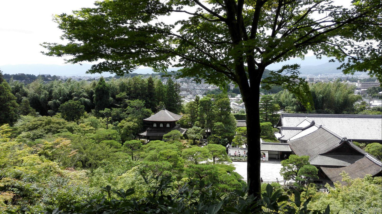 永观堂乃日本净土宗西山禅林寺派的总本山.