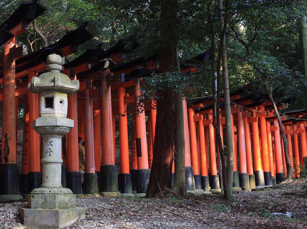 千本鸟居