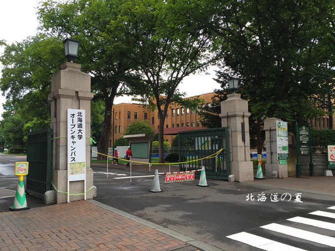 【北海道大学】 札幌的清晨,从北海道大学开始.