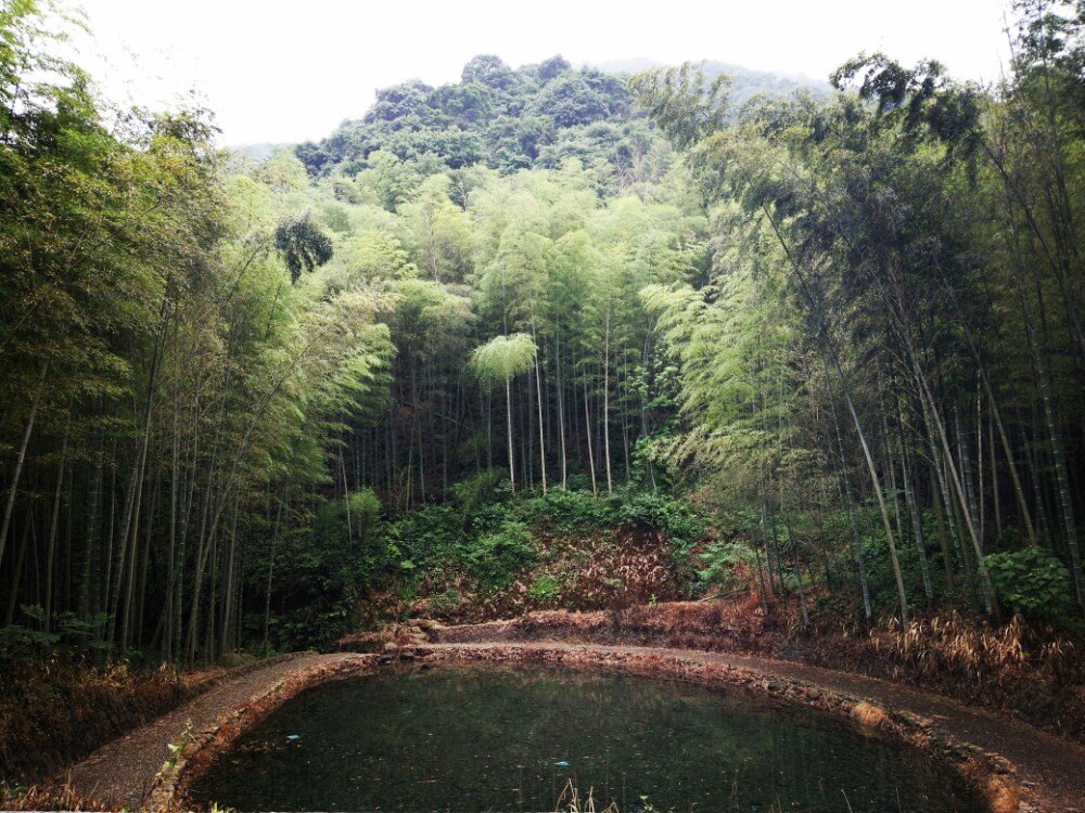 西山国家森林公园旅游景点攻略图