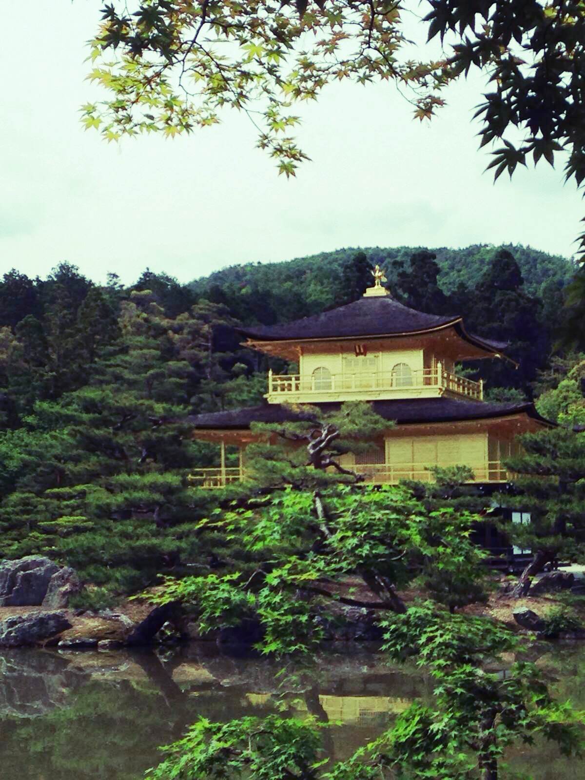 金阁寺最初建於1397年,可惜我们眼前的是1950年大火焚毁后重建的.