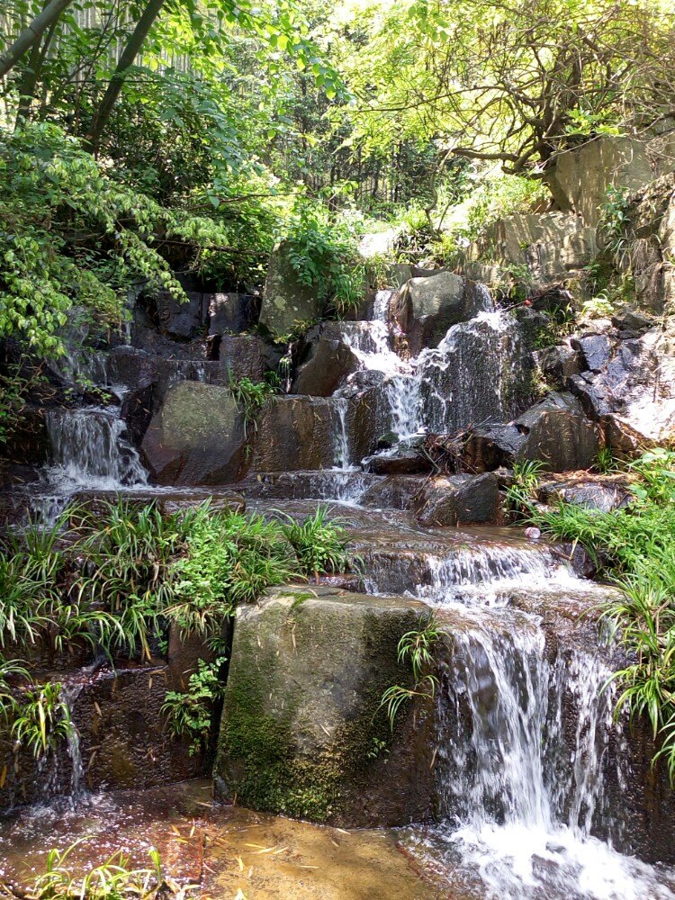 2019剑池_旅游攻略_门票_地址_游记点评,莫干山旅游