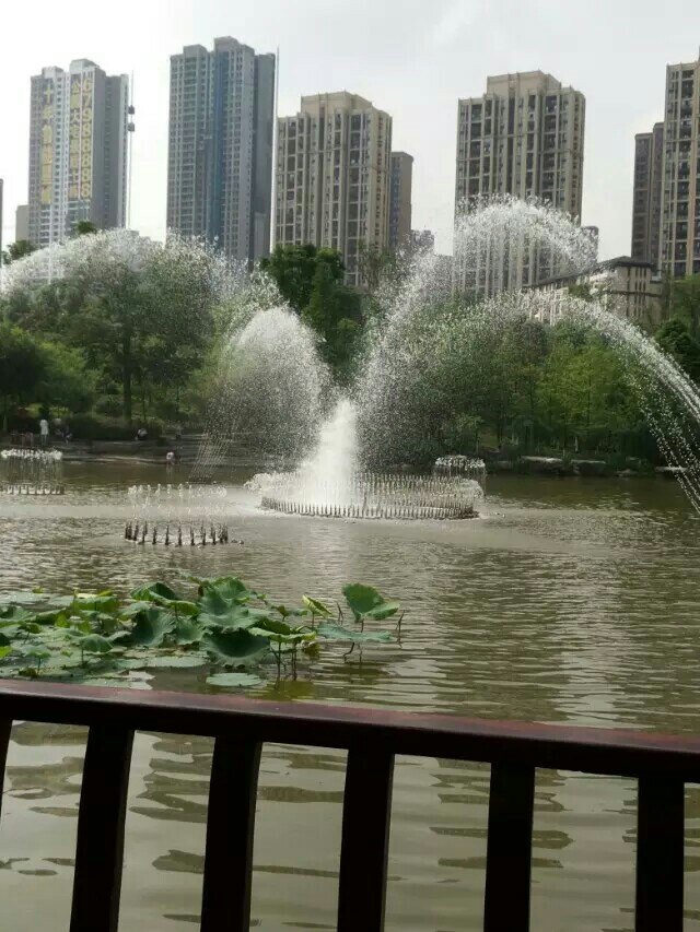 龙头寺公园