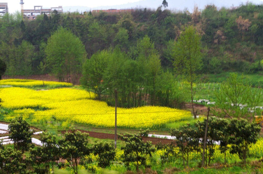 秦巴植物博览园