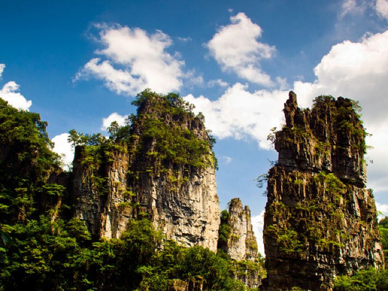 油杉河景区