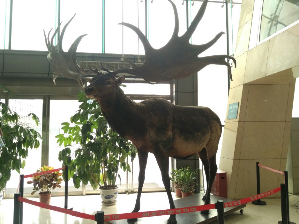 中国动物博物馆旅游景点攻略图