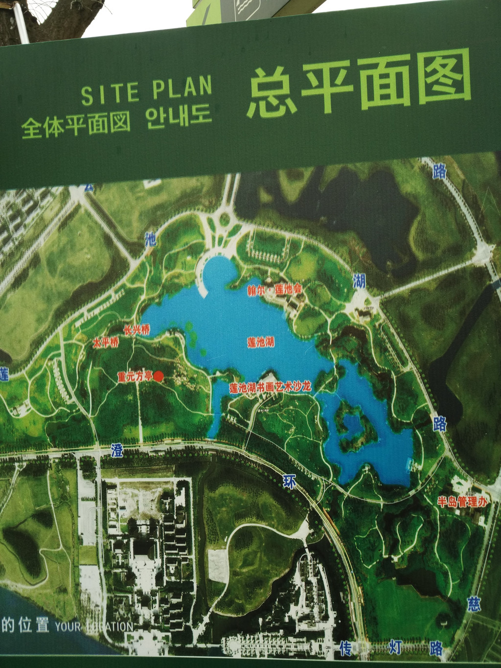 莲池湖公园地处阳澄湖半岛北部;   公园很大,自然,野趣;这里树木