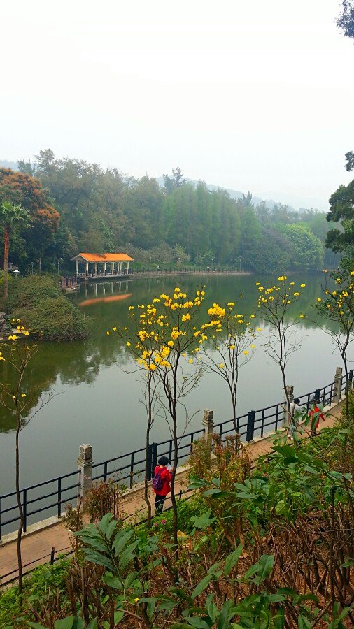 广州麓湖公园好玩吗,广州麓湖公园景点怎么样_点评