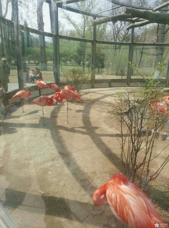 济南动物园旅游景点攻略图