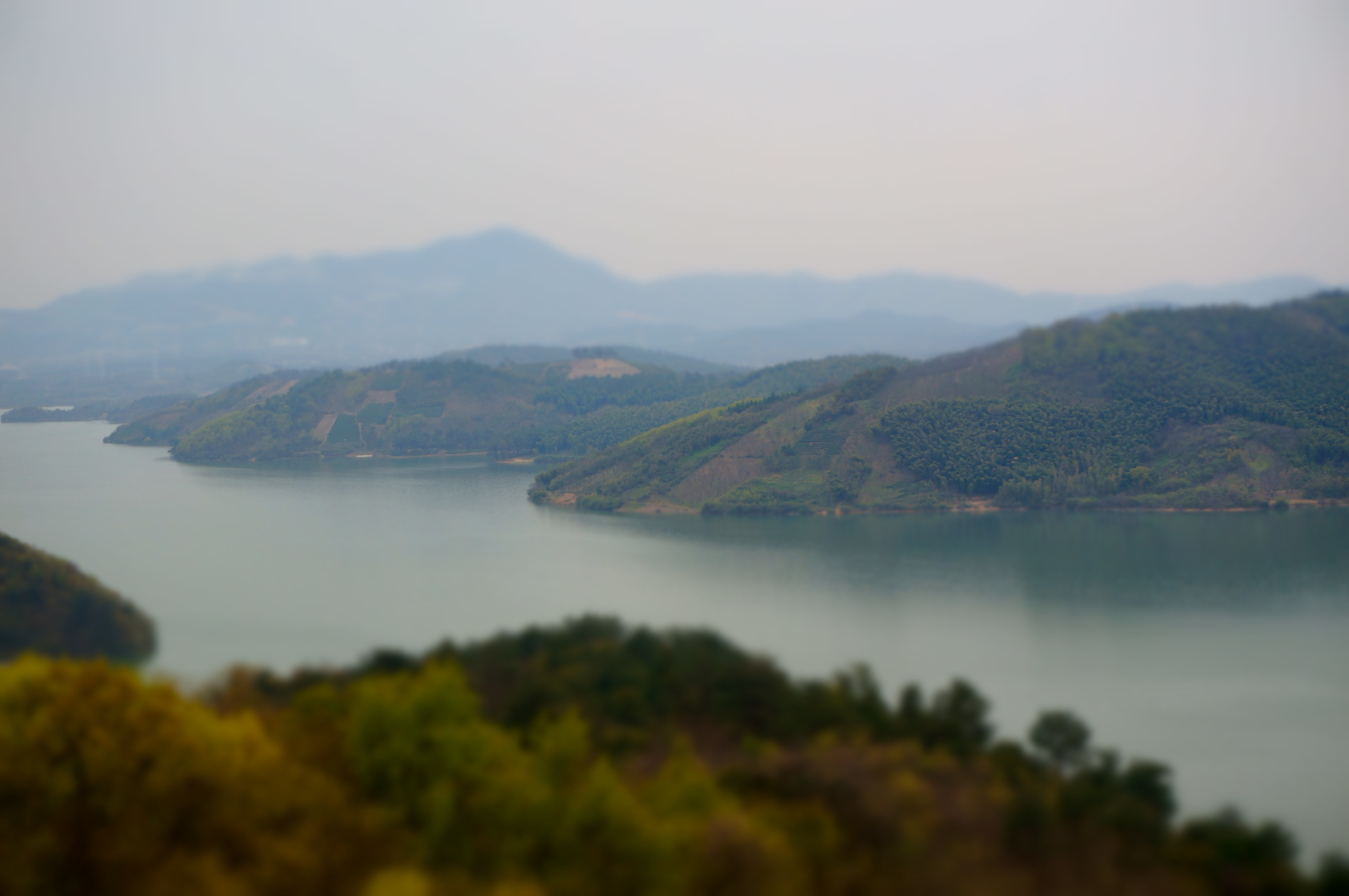 龙兴岛
