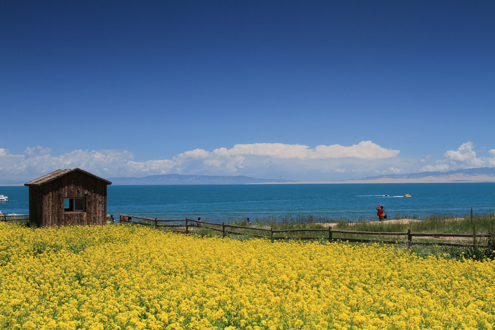 青海湖