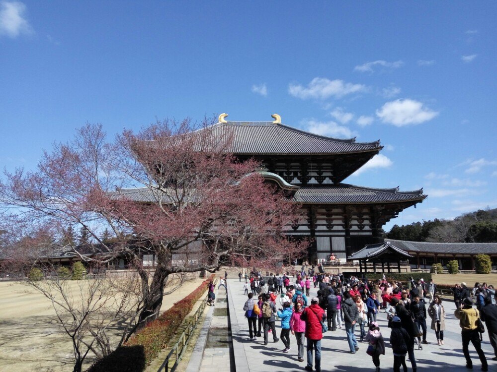 【携程攻略】奈良东大寺景点,日本景点的门票都不贵,这里也不例外,进