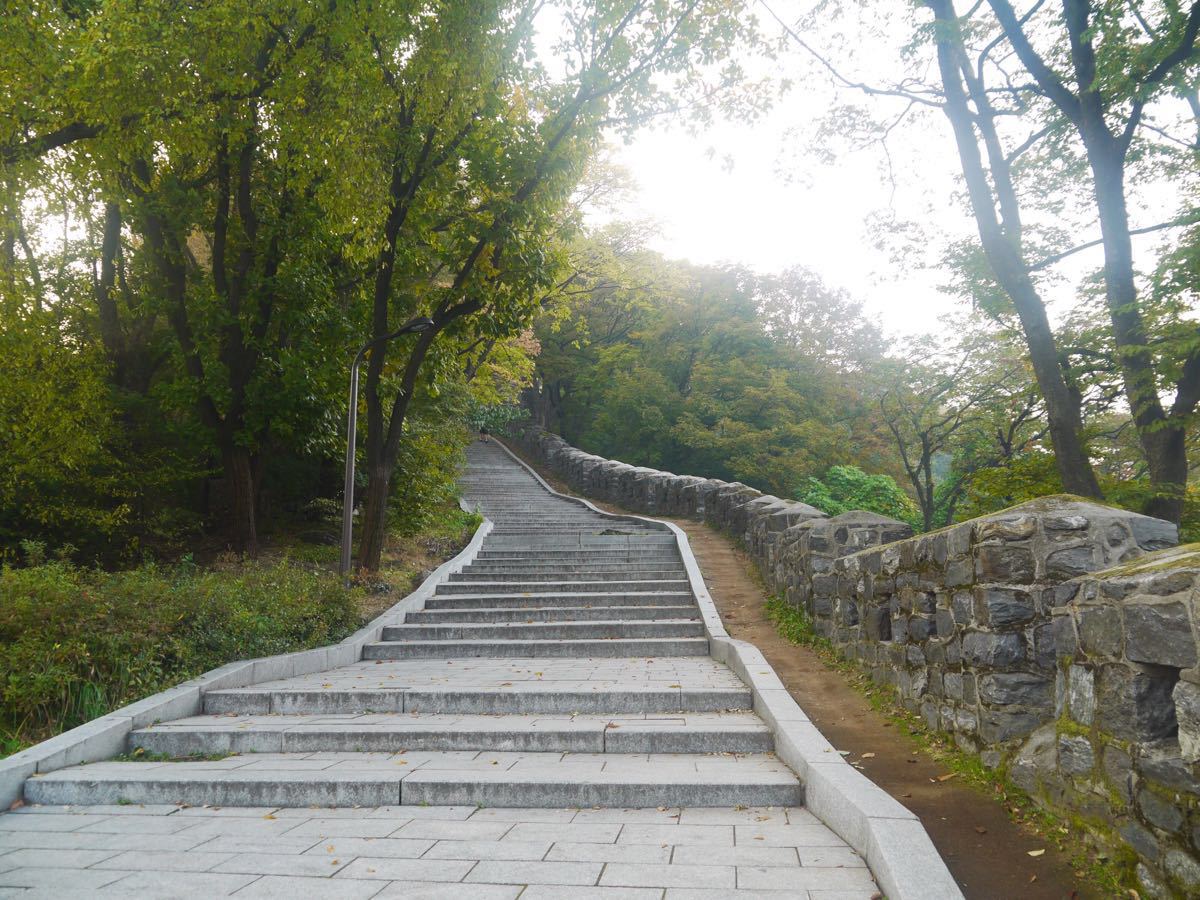 清晨去爬南山,地铁站走到山脚有一段坡道,早晨来晨练的人不多,空气