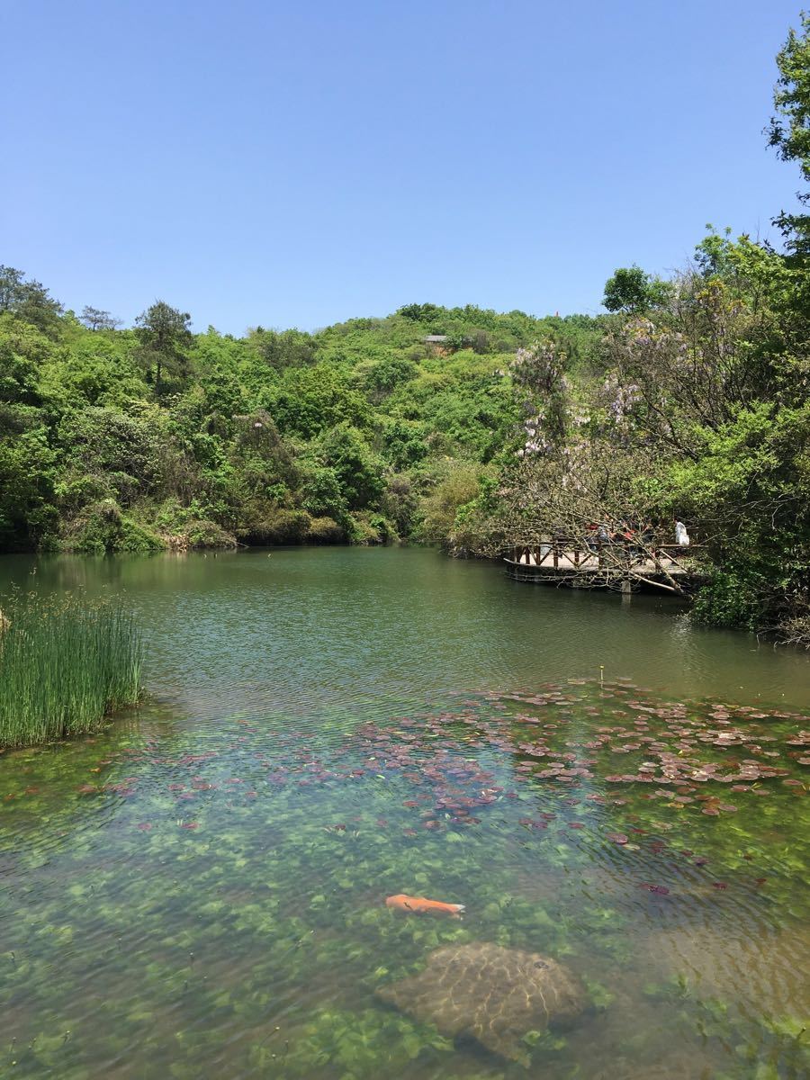 天目湖山水园