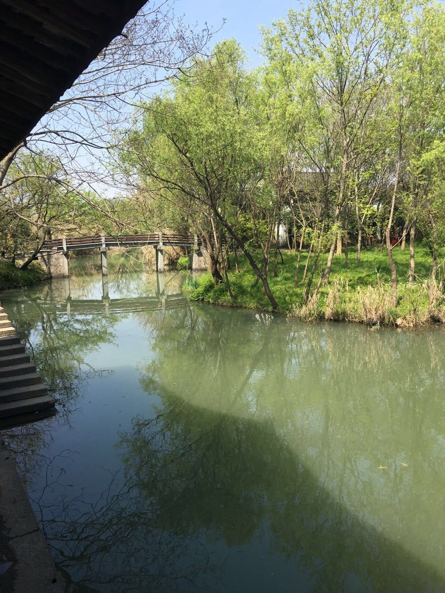 西溪湿地洪园景区