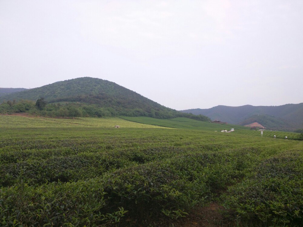 宜兴龙池山自行车公园好玩吗,宜兴龙池山自行车公园景点怎么样_点评