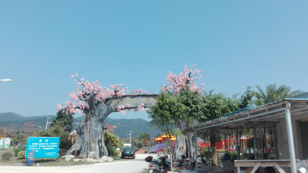 天适樱花悠乐园