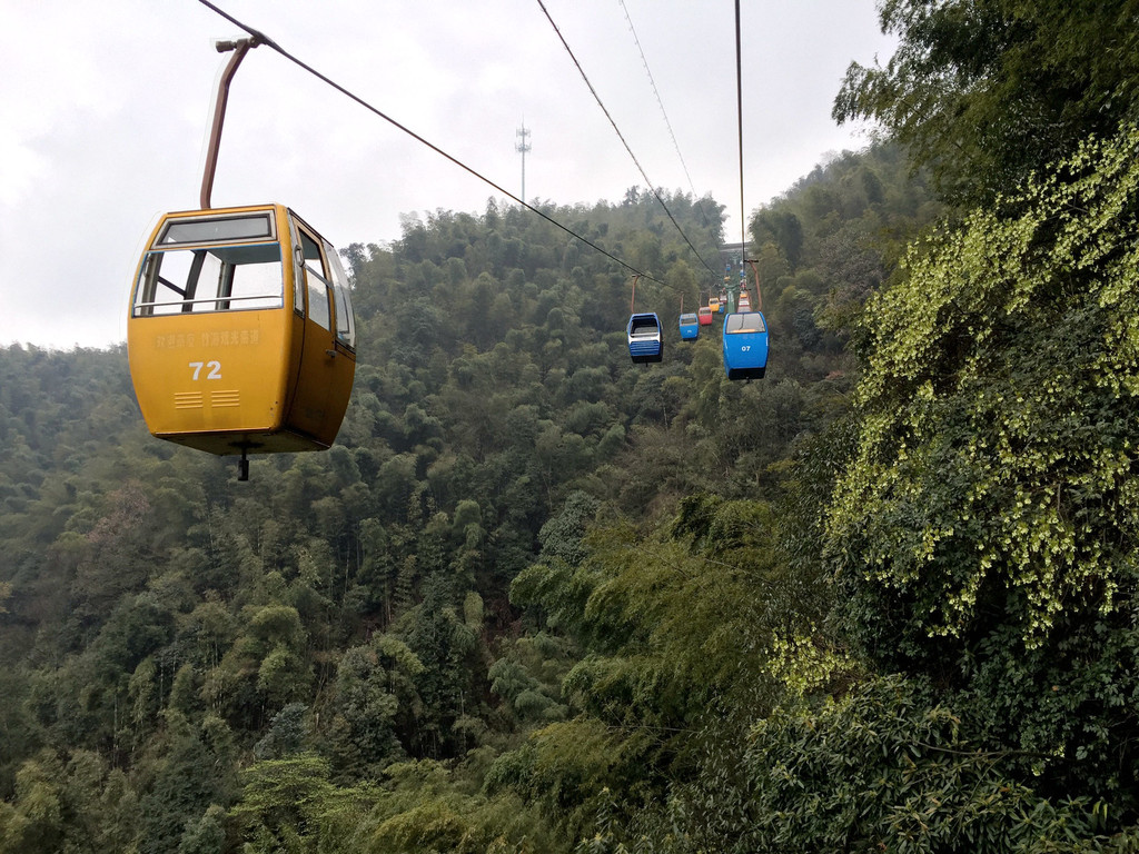 开往春天的列车——四川嘉阳油菜花,峨眉山,蜀南竹海,乐山之旅