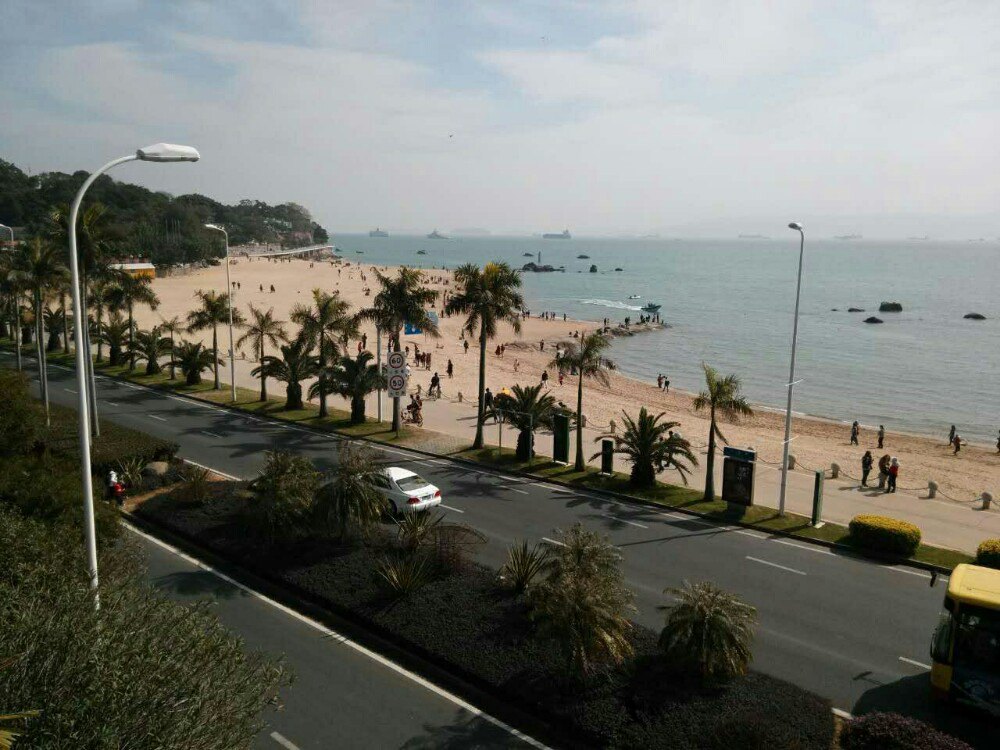 环岛路的风景