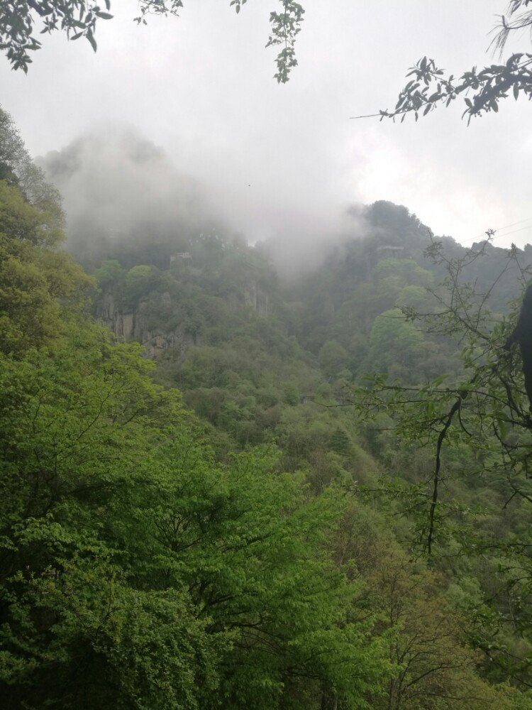 南宫山国家森林公园