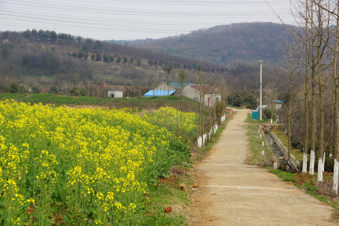 傅家边村