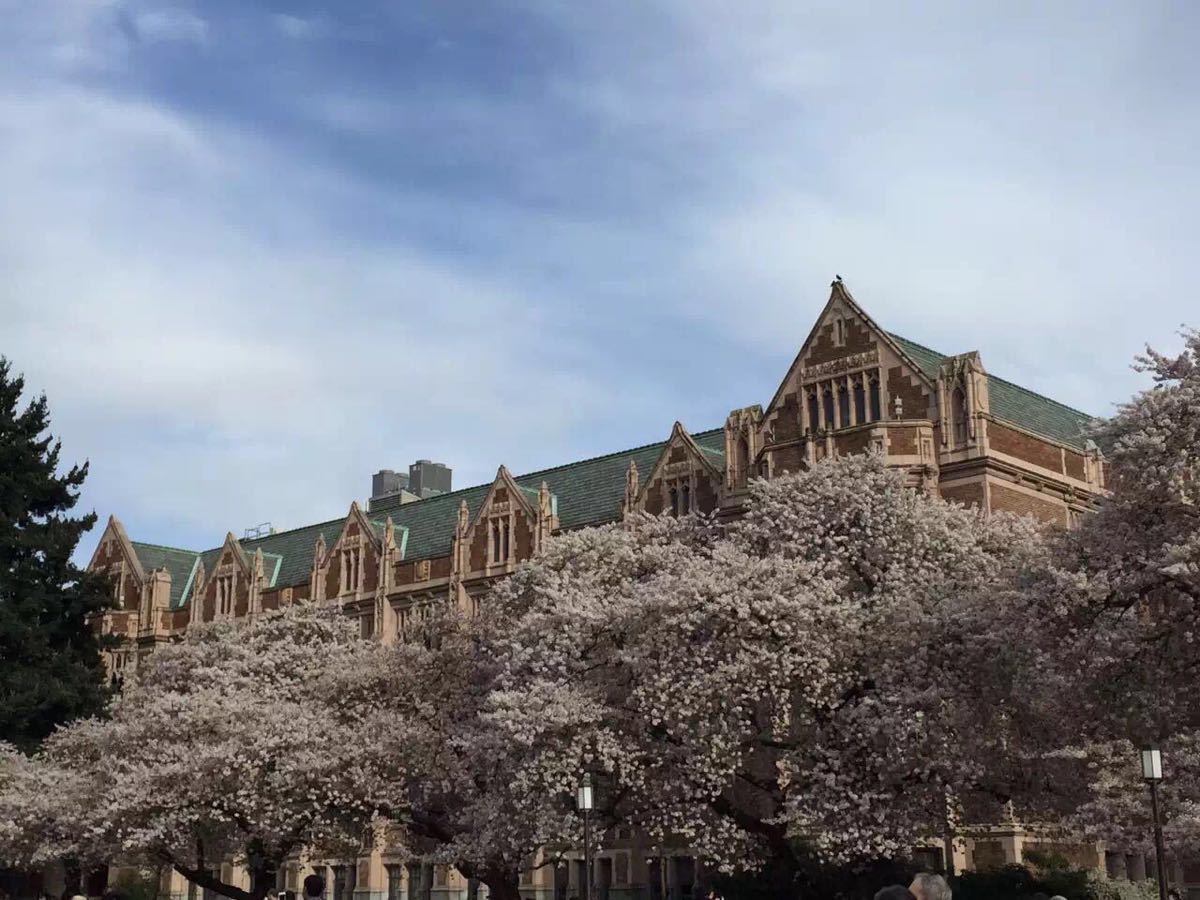 西雅图华盛顿大学好玩吗,西雅图华盛顿大学景点怎么样