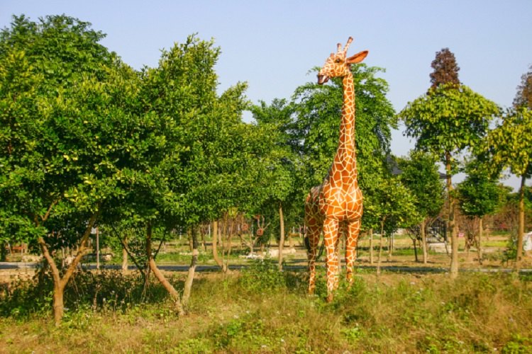 03月23日江门天气预报:阵雨 气温: 16℃~22℃