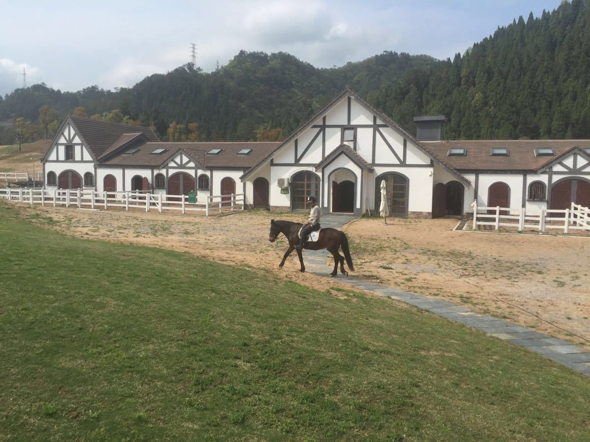 进贤湾马术公园旅游景点攻略图