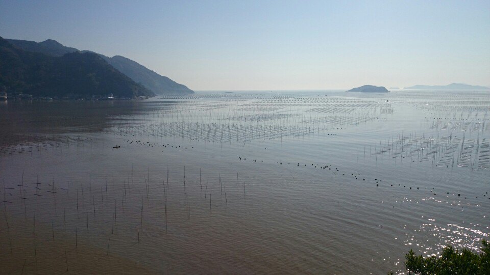 霞浦北岐滩涂好玩吗,霞浦北岐滩涂景点怎么样_点评_评价【携程攻略】