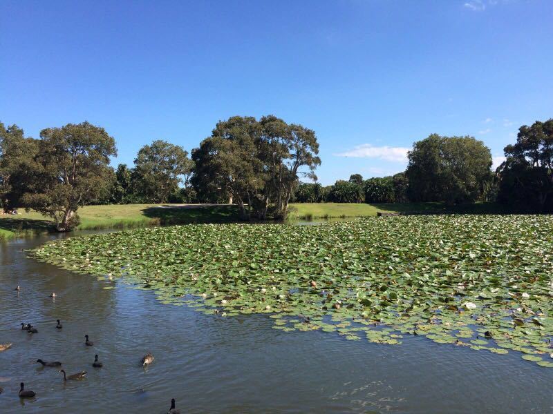 悉尼世纪公园centennial park