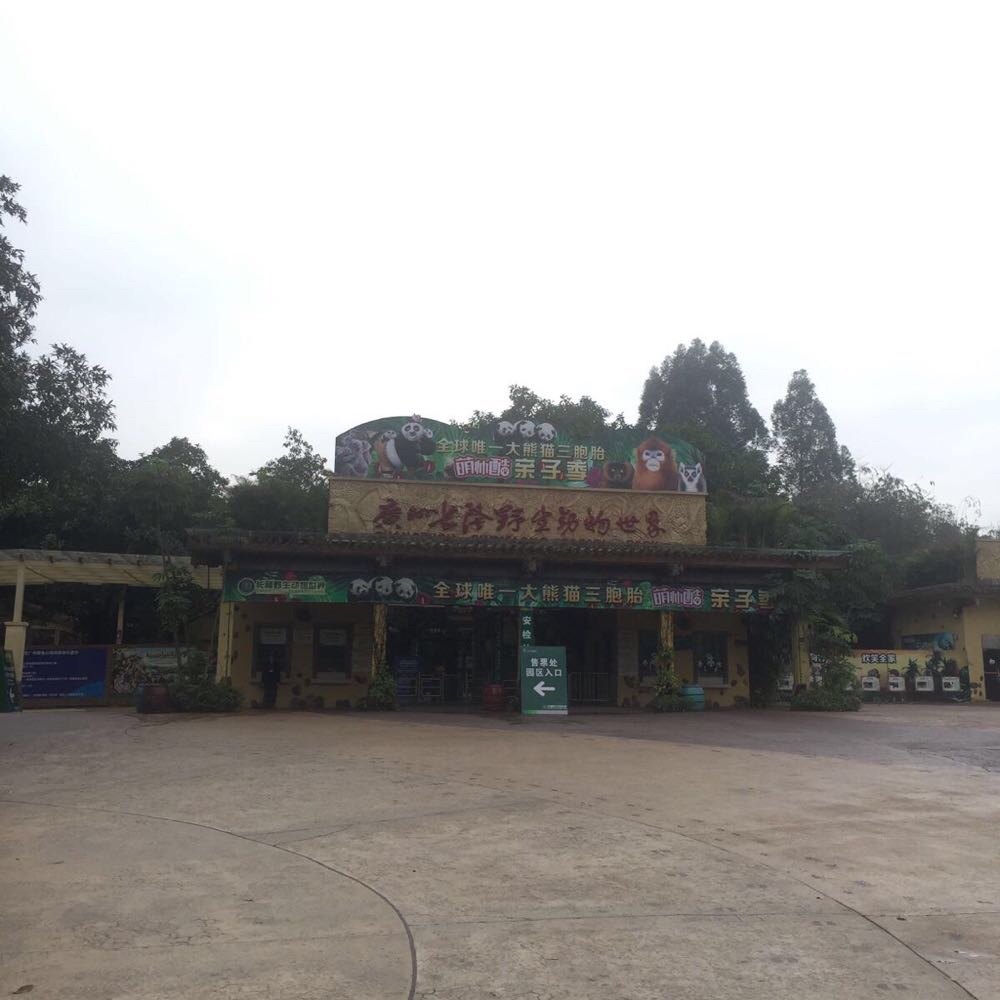 长隆野生动物园