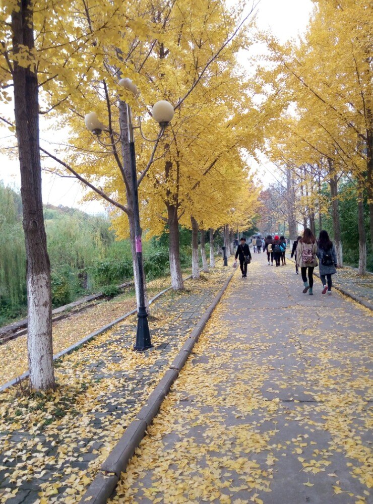 江苏师范大学旅游景点攻略图