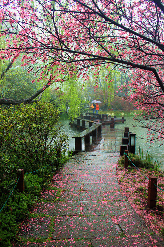 烟花三月,春雨飘飘,偷闲又去了一趟杭州,感觉好极了冒雨在苏堤上走了