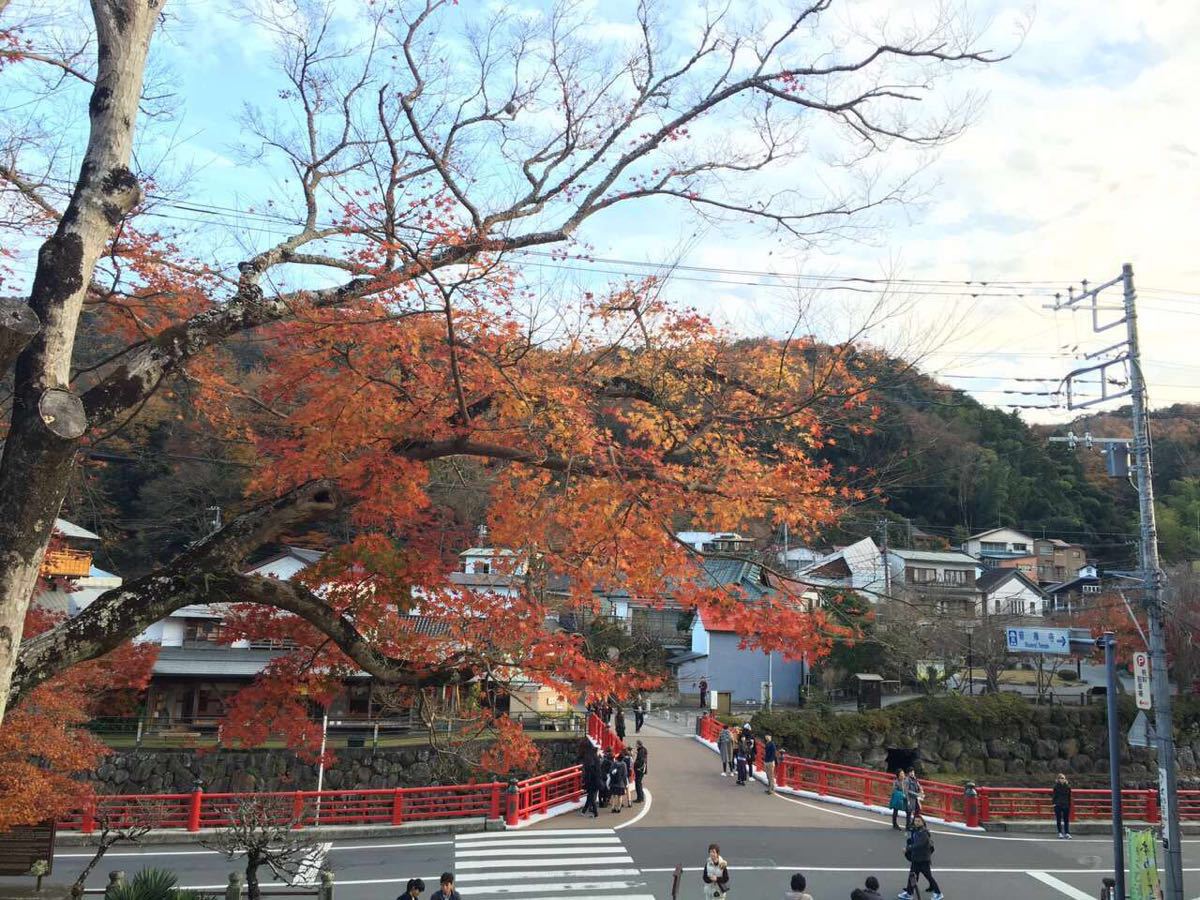 伊豆