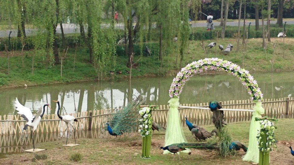 无锡动物园(太湖欢乐园)