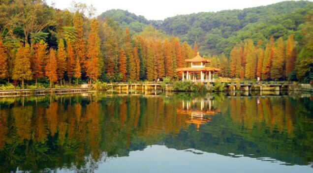 【携程攻略】深圳仙湖植物园景点,仙湖植物园位于深圳