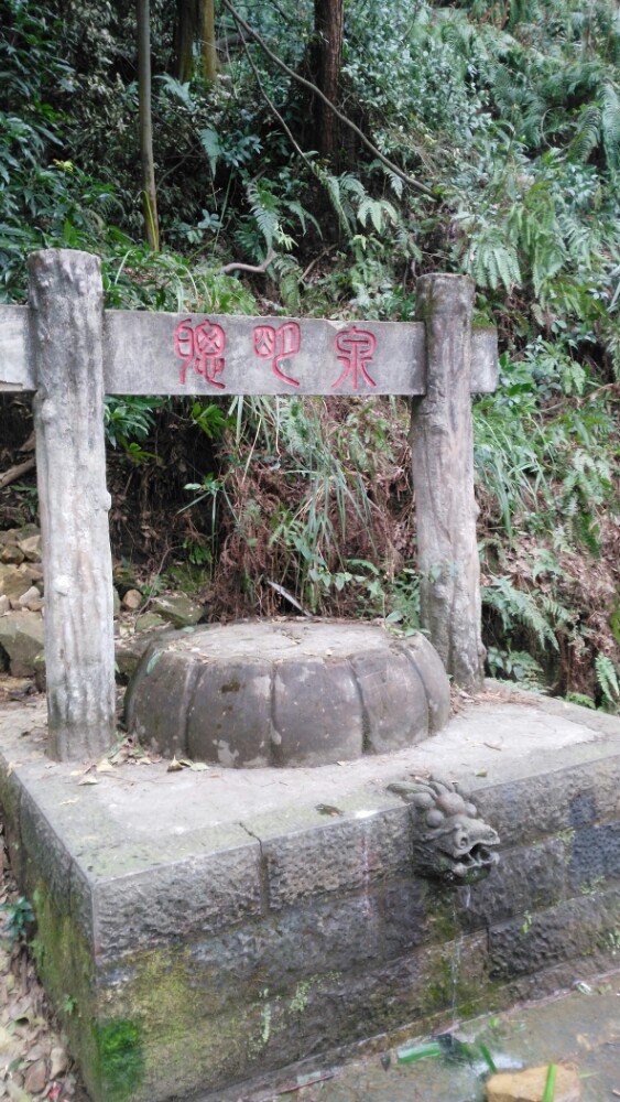 重庆歌乐山森林公园好玩吗,重庆歌乐山森林样