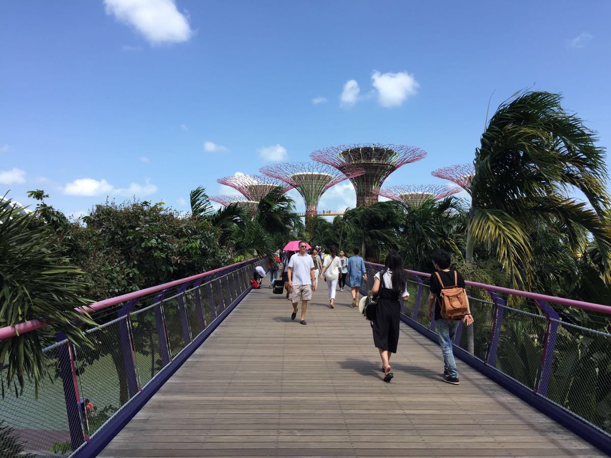 新加坡滨海湾花园旅游景点攻略图