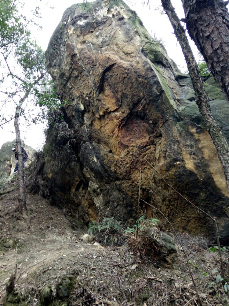 尖刀山森林公园