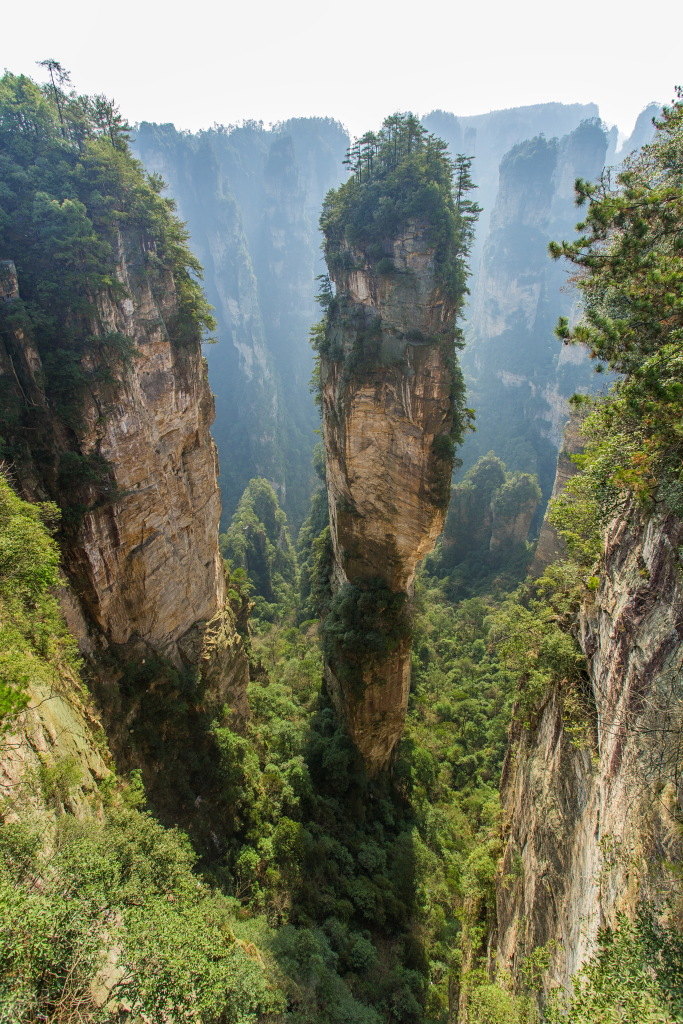 2019百龙天梯-旅游攻略-门票-地址-问答-游记点评,武陵源旅游旅游景点