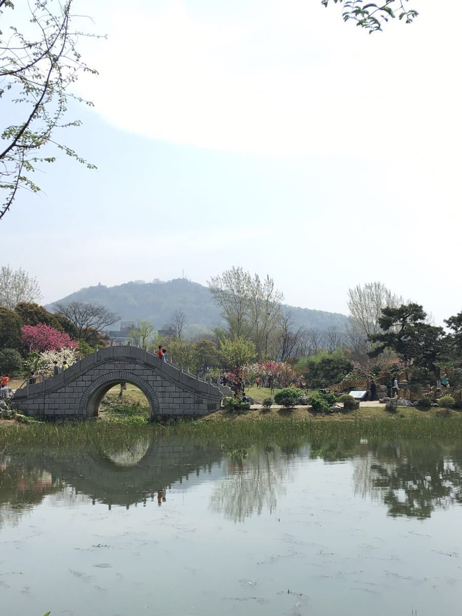 南京市区最大的公园,景色优美,是钟山风景名胜区的重要组成部分