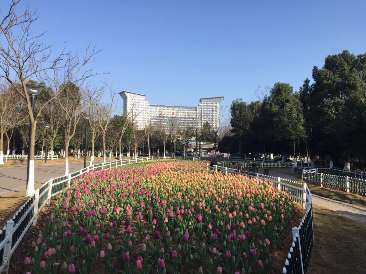 锦屏公园