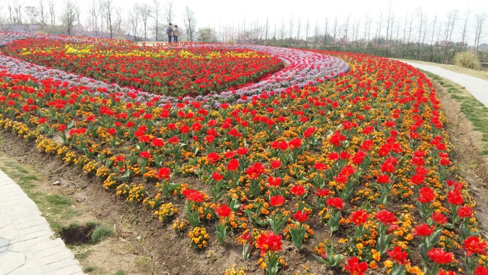 周浦花海旅游景点攻略图