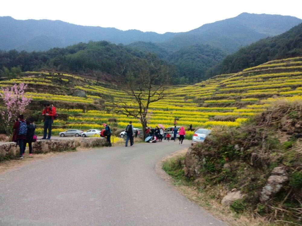 江岭景区