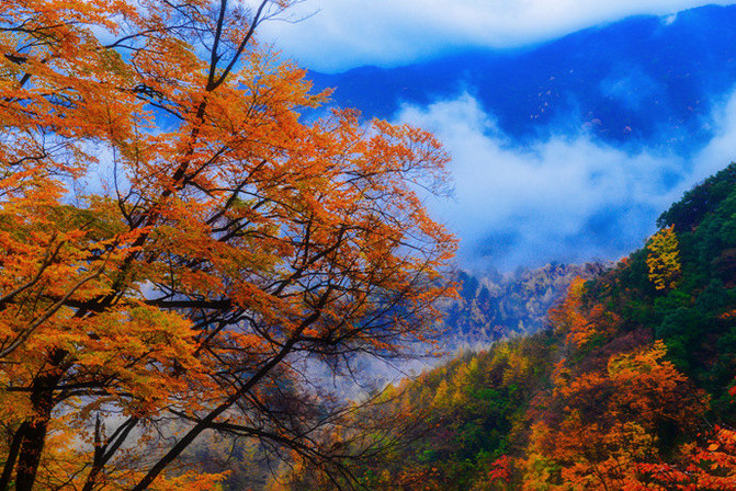 【四川光雾山】秋色尽染雾满山(图组/57p)